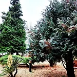 Complex Arges - Garden & Retreat מלון