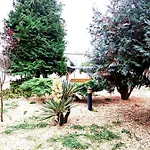 Complex Arges - Garden & Retreat 2* אפורי נורד