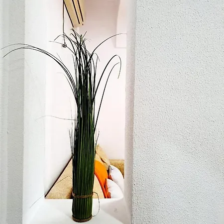 Hotel Complex Arges - Garden & Retreat Eforie Nord