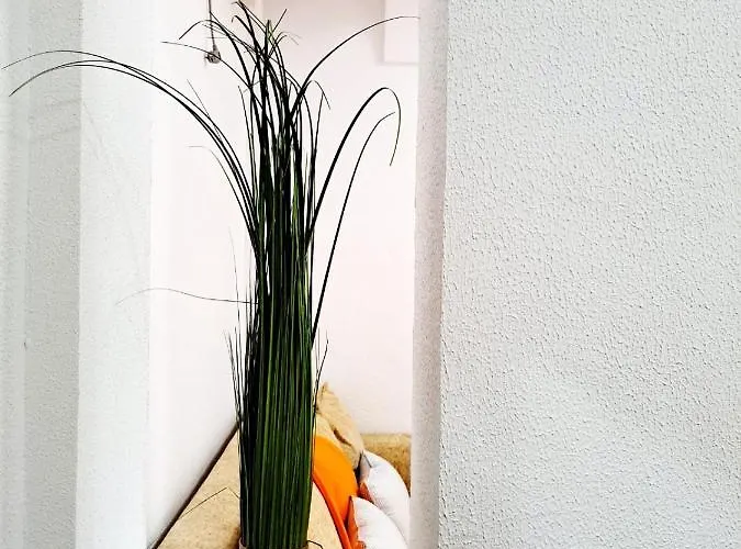 Hotel Complex Arges - Garden & Retreat Eforie Nord