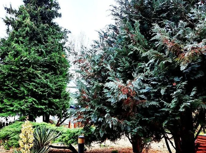 Complex Arges - Garden & Retreat Hotel