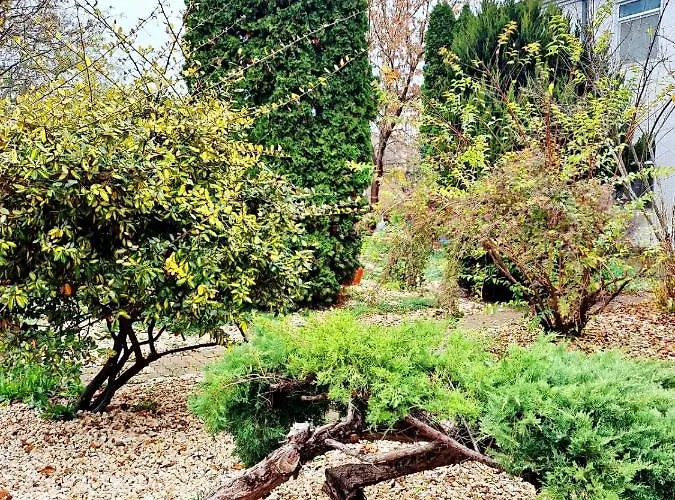 Complex Arges - Garden & Retreat