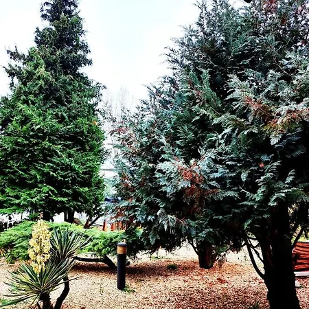 Complex Arges - Garden & Retreat מלון