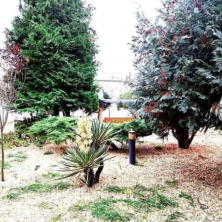 Complex Arges - Garden & Retreat 2* אפורי נורד
