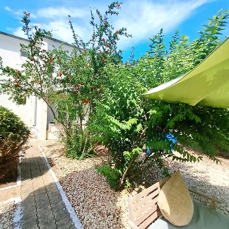 Complex Arges - Garden & Retreat