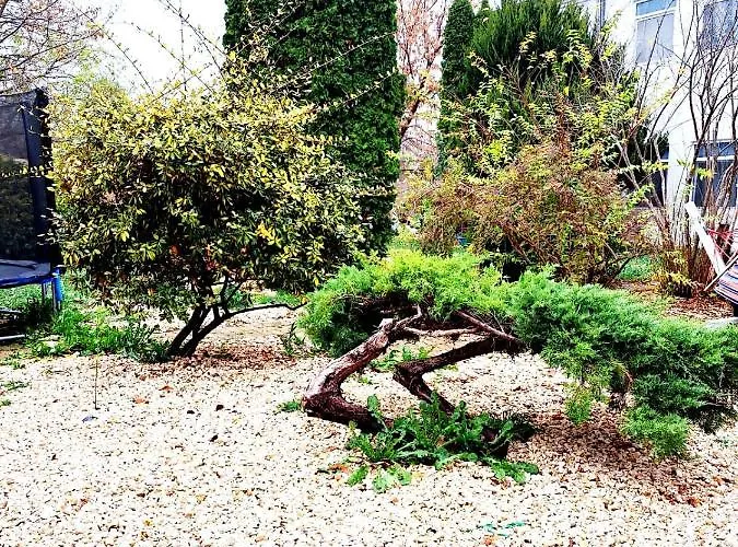 Complex Arges - Garden & Retreat