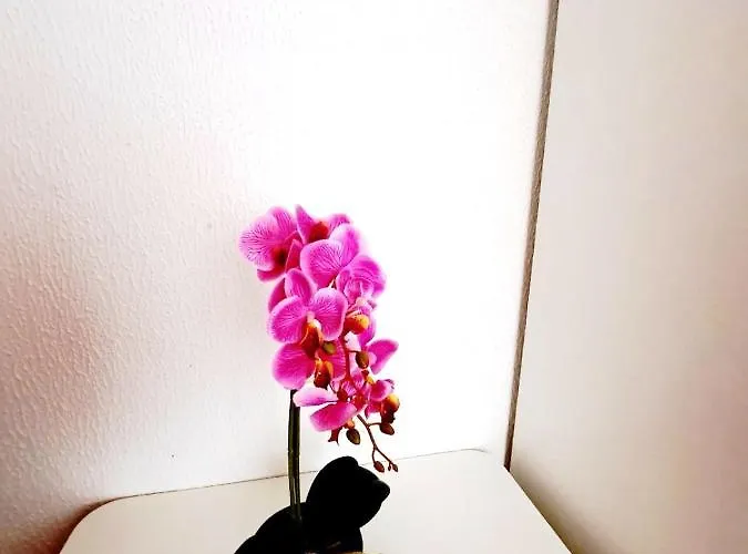 Complex Arges - Garden & Retreat Szálloda Észak-Eforie