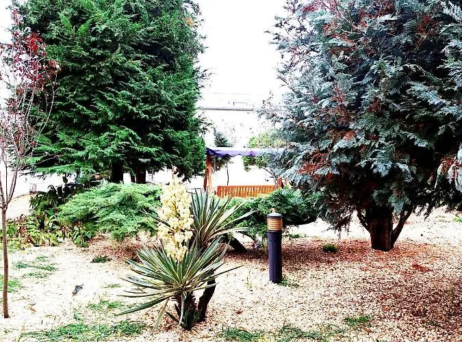 Complex Arges - Garden & Retreat 2* Eforie Nord